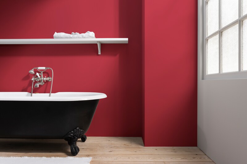 Dulux PROFESSIONAL Rezisto 5