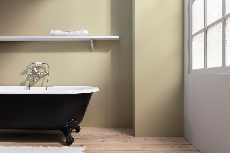 Dulux PROFESSIONAL Rezisto 5