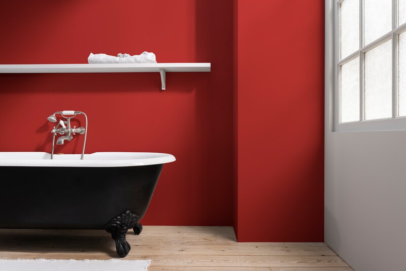 Coralit Total Acetinado