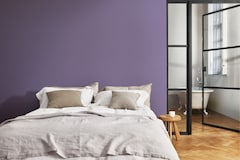 Dulux PROFESSIONAL Rezisto 5