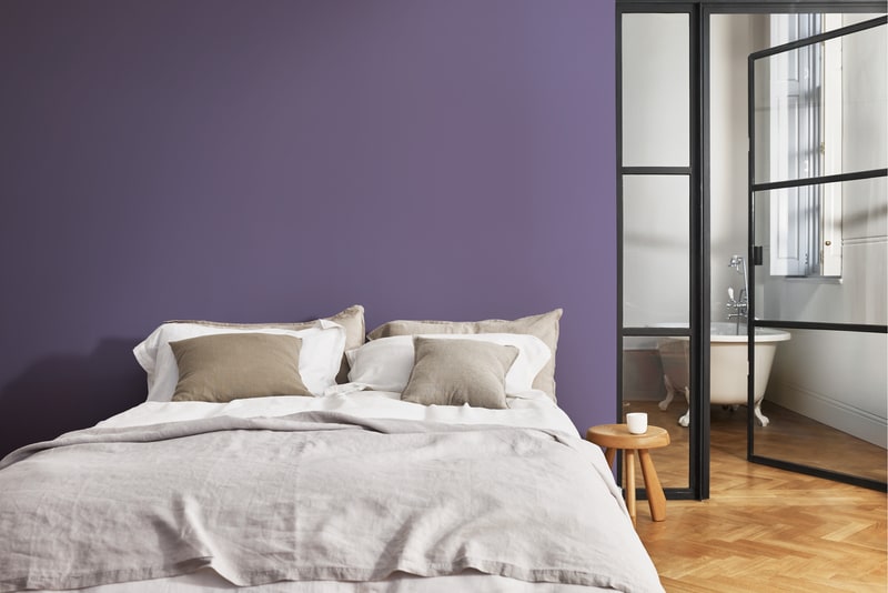 Dulux PROFESSIONAL Rezisto 5