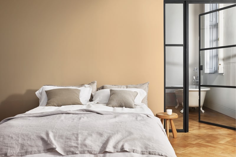 Dulux PROFESSIONAL Rezisto 5