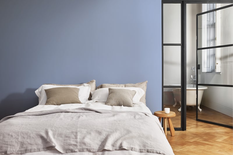 Dulux PROFESSIONAL Rezisto 5