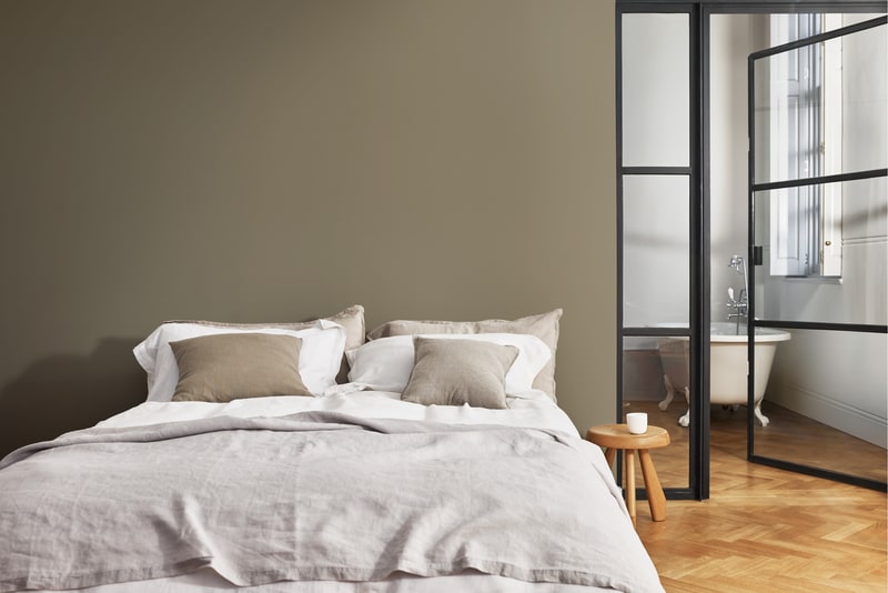 Dulux PROFESSIONAL Rezisto 5