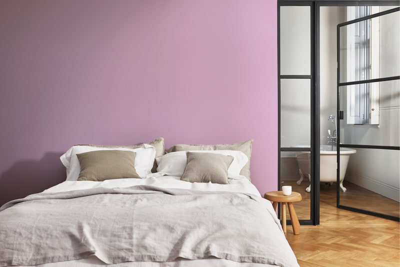 Dulux PROFESSIONAL Rezisto 5