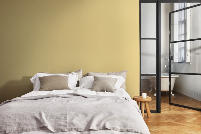 Dulux PROFESSIONAL Rezisto 5