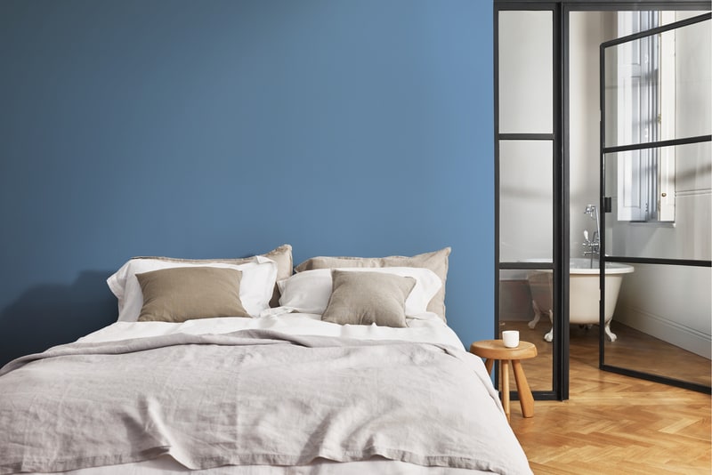 Dulux PROFESSIONAL Rezisto 5