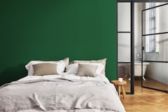 Dulux PROFESSIONAL Rezisto 5