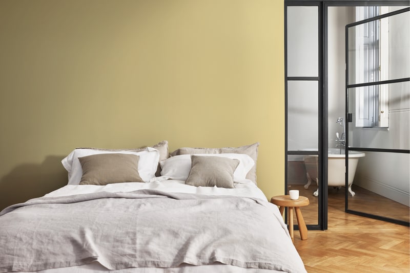 Dulux PROFESSIONAL Rezisto 5