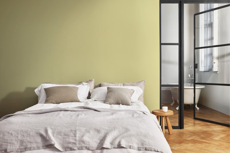 Dulux PROFESSIONAL Rezisto 5