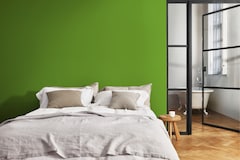 Dulux PROFESSIONAL Rezisto 5