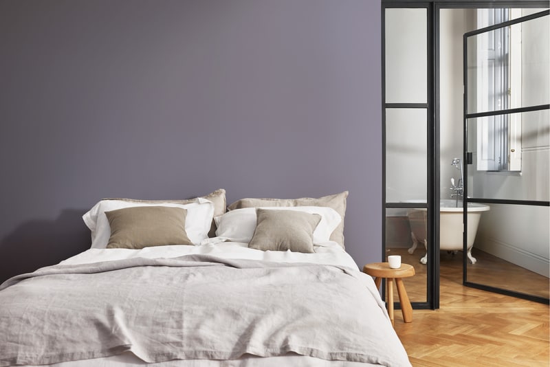 Dulux PROFESSIONAL Rezisto 5