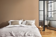 Dulux Promise Interior Emulsion