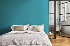 Dulux Gloss Enamel