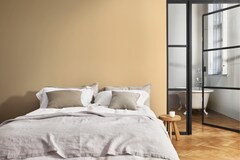 Dulux Promise Gloss Enamel