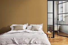 Dulux Promise Interior Emulsion