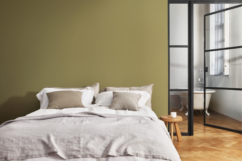 Dulux PROFESSIONAL Rezisto 5