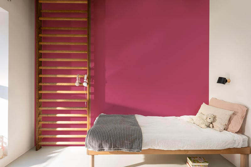 Dulux PROFESSIONAL Rezisto 5