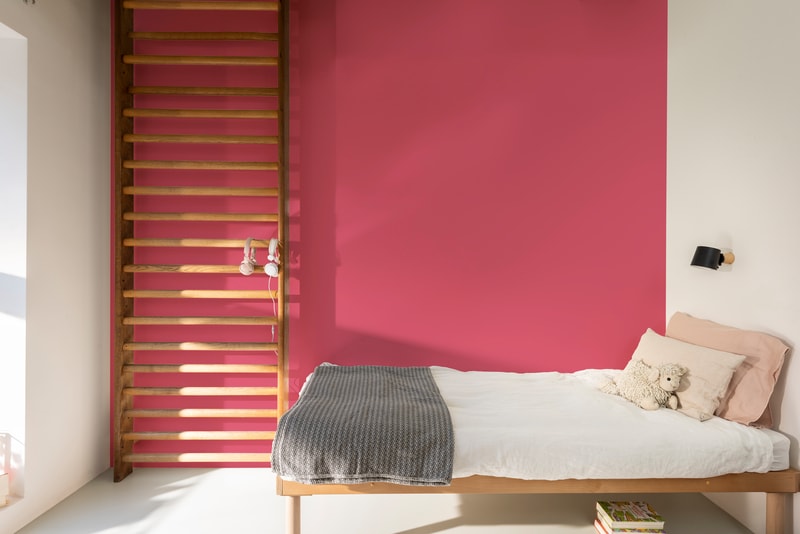 Dulux PROFESSIONAL Rezisto 5