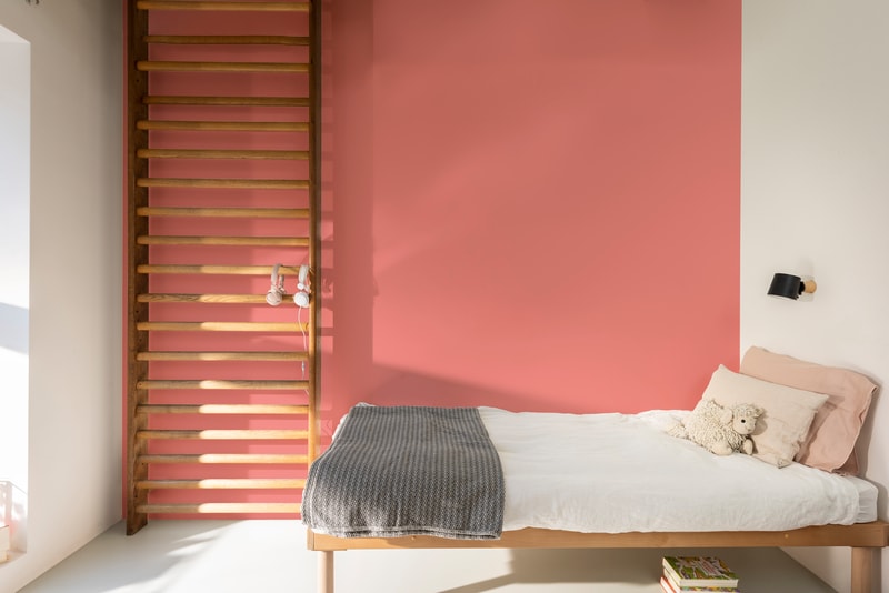 Dulux PROFESSIONAL Rezisto 5