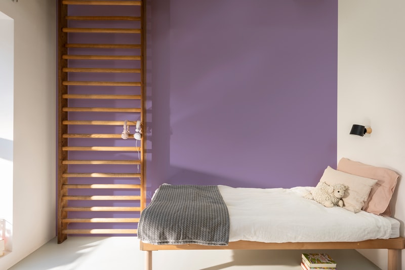 Dulux PROFESSIONAL Rezisto 5