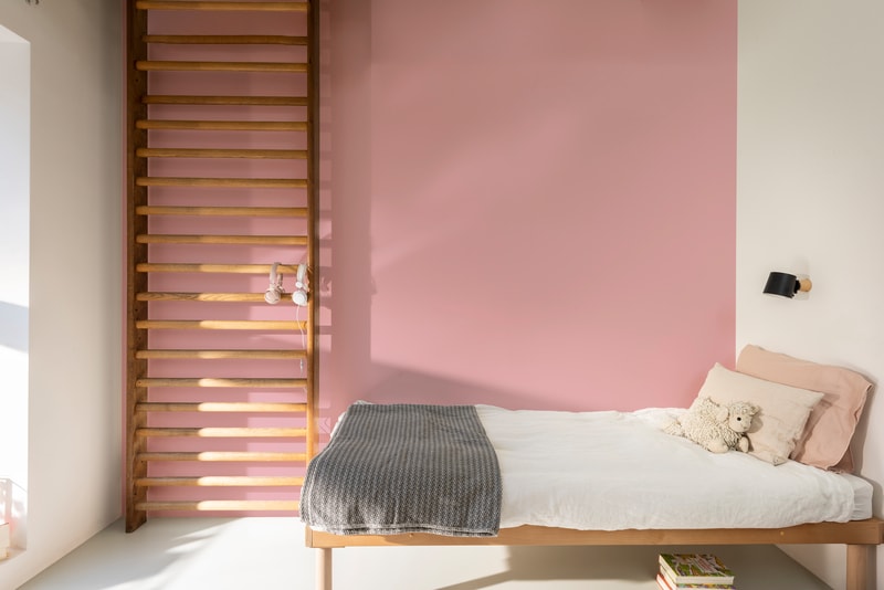 Dulux PROFESSIONAL Rezisto 5