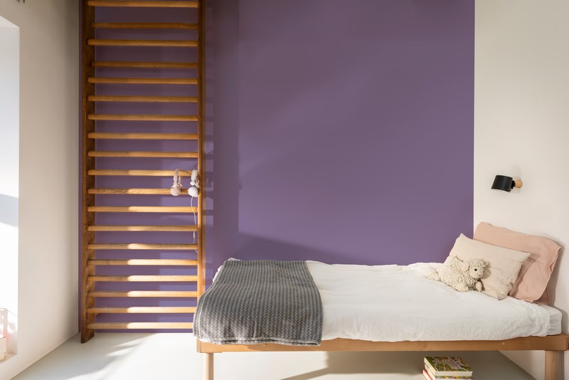 Dulux PROFESSIONAL Rezisto 5