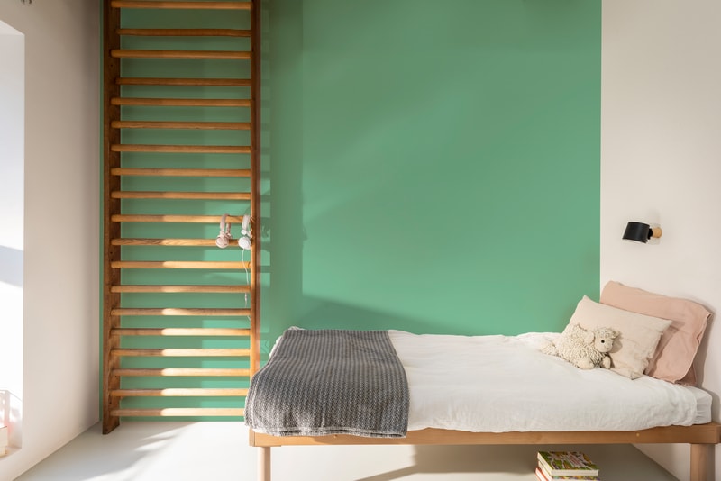 Dulux PROFESSIONAL Rezisto 5