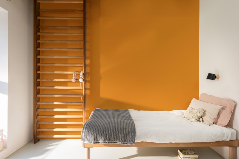 Dulux PROFESSIONAL Rezisto 5