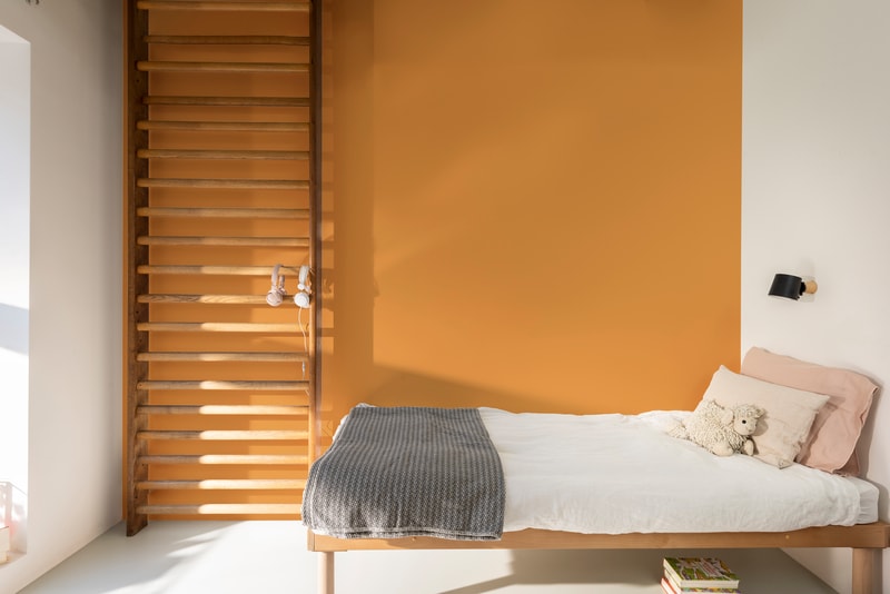 Dulux Paint Mixing Silk