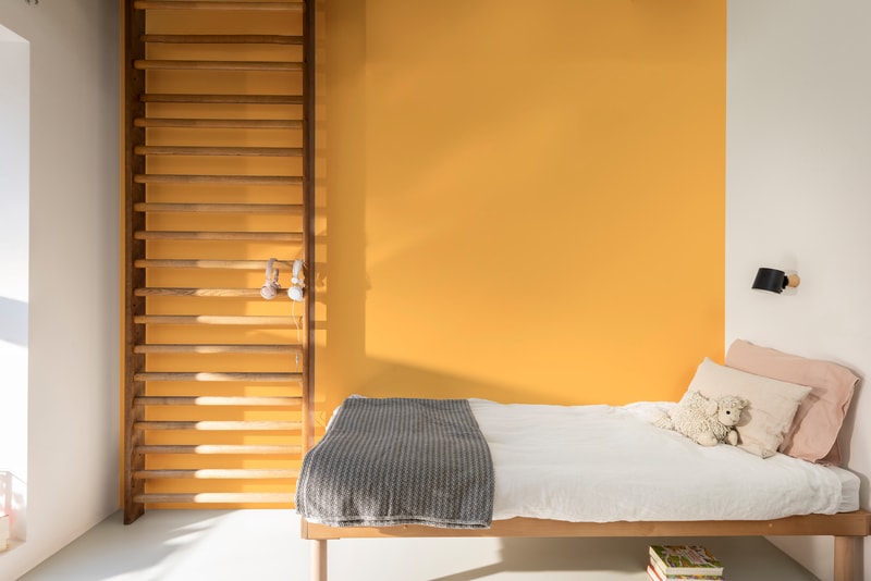 Dulux Paint Mixing Silk