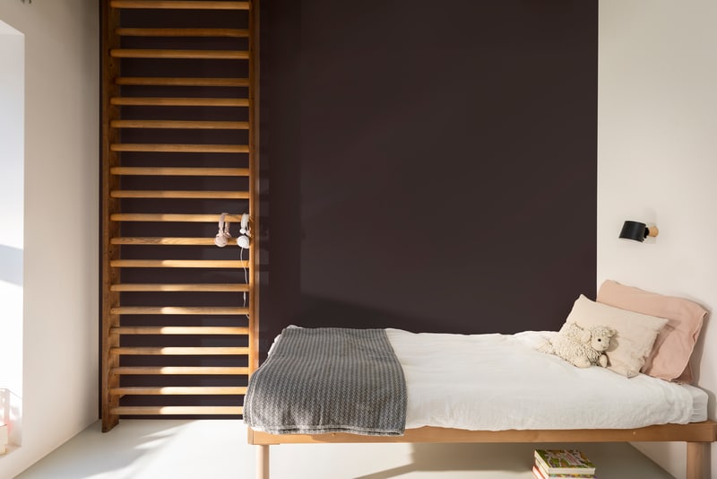 Dulux PROFESSIONAL Rezisto 5