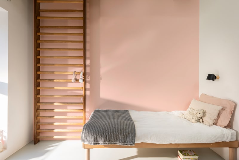 Dulux PROFESSIONAL Rezisto 5