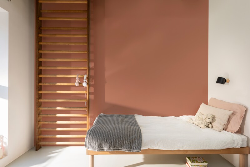 Dulux PROFESSIONAL Rezisto 5