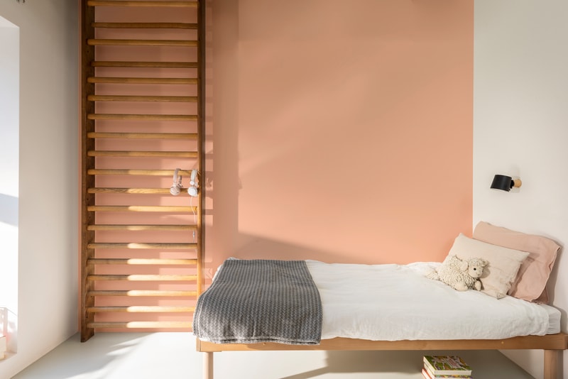 Dulux PROFESSIONAL Rezisto 5