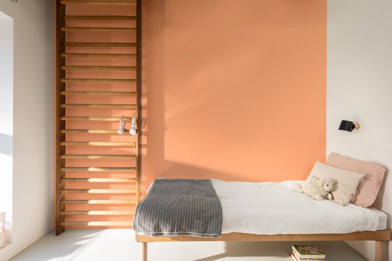 Dulux PROFESSIONAL Rezisto 5