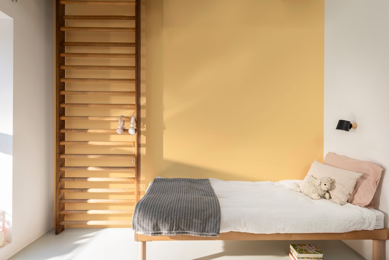 Dulux PROFESSIONAL Rezisto 5