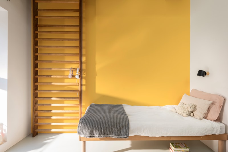 Dulux PROFESSIONAL Rezisto 5