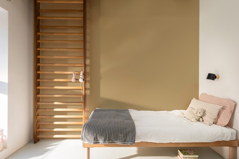 Dulux PROFESSIONAL Rezisto 5