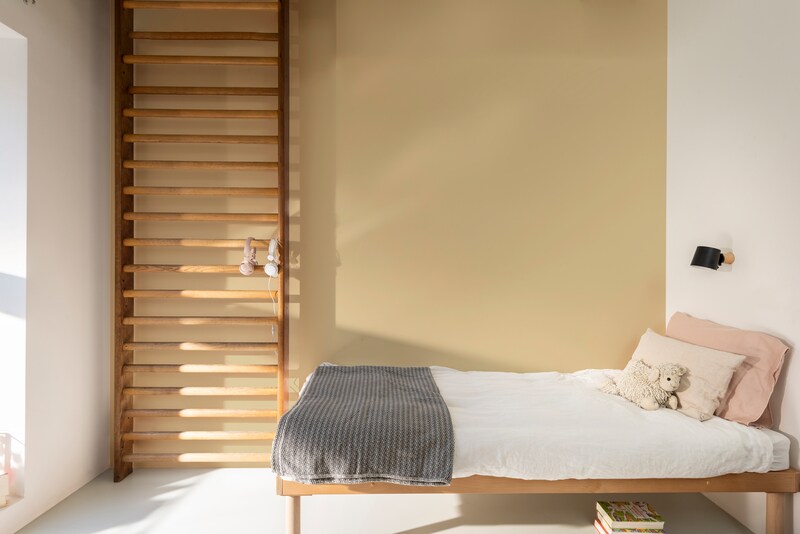 Pure by FlexaColorLab Kleurtester