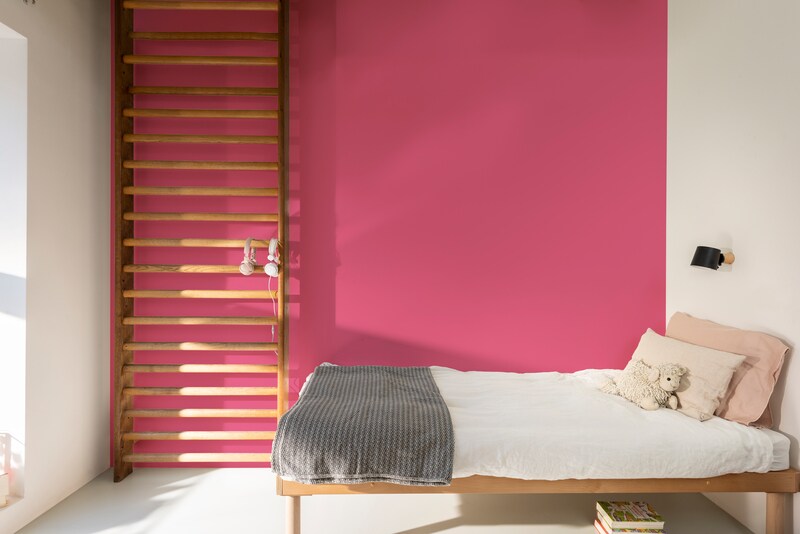 Dulux PROFESSIONAL Rezisto 5