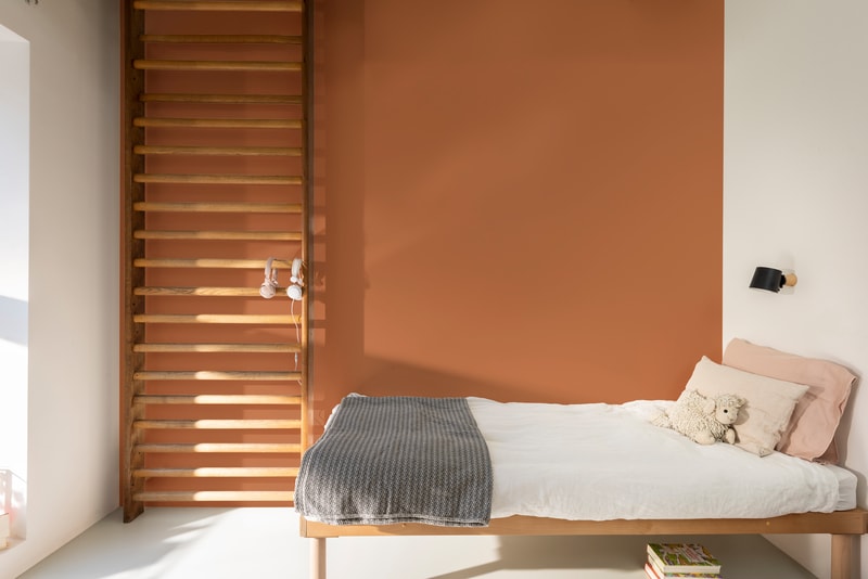 Dulux  Easycare Tinted