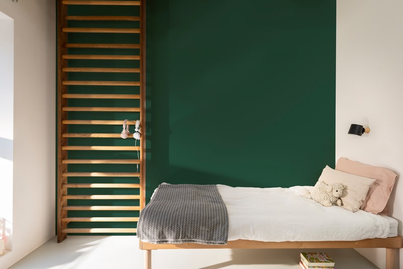 Dulux PROFESSIONAL Rezisto 5