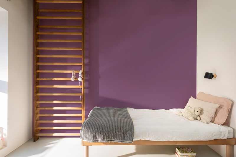 Dulux PROFESSIONAL Rezisto 5