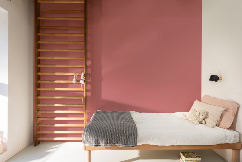 Dulux PROFESSIONAL Rezisto 5