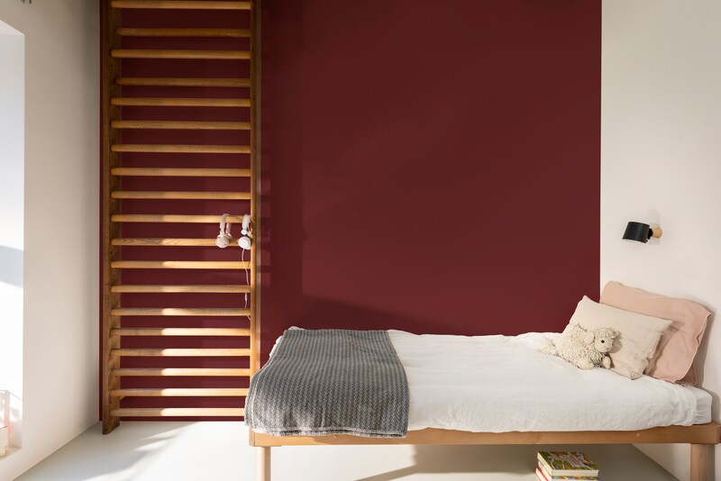 Dulux PROFESSIONAL Rezisto 5