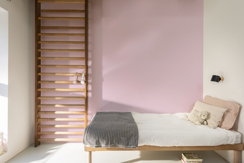 Dulux PROFESSIONAL Rezisto 5