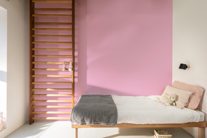 Dulux PROFESSIONAL Rezisto 5