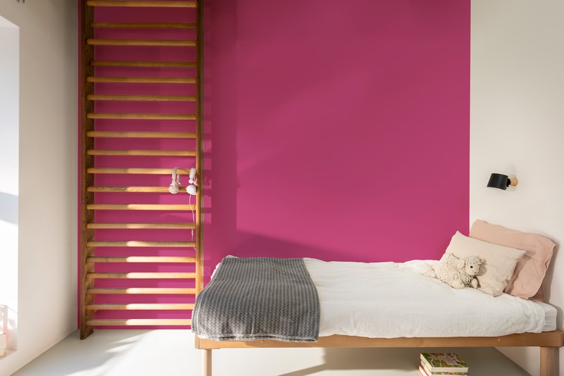 Dulux PROFESSIONAL Rezisto 5