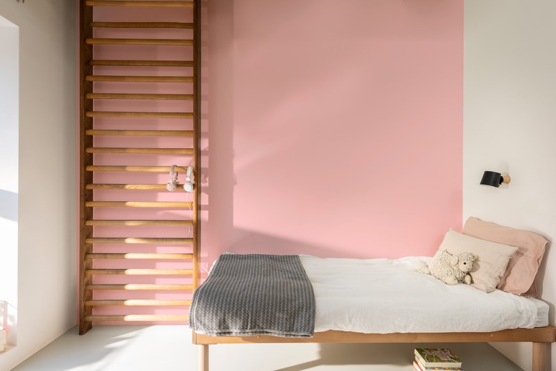 Dulux PROFESSIONAL Rezisto 5